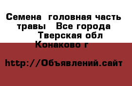 Семена (головная часть))) травы - Все города  »    . Тверская обл.,Конаково г.